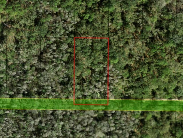 0 County Rd 54, Kathleen, FL 33849