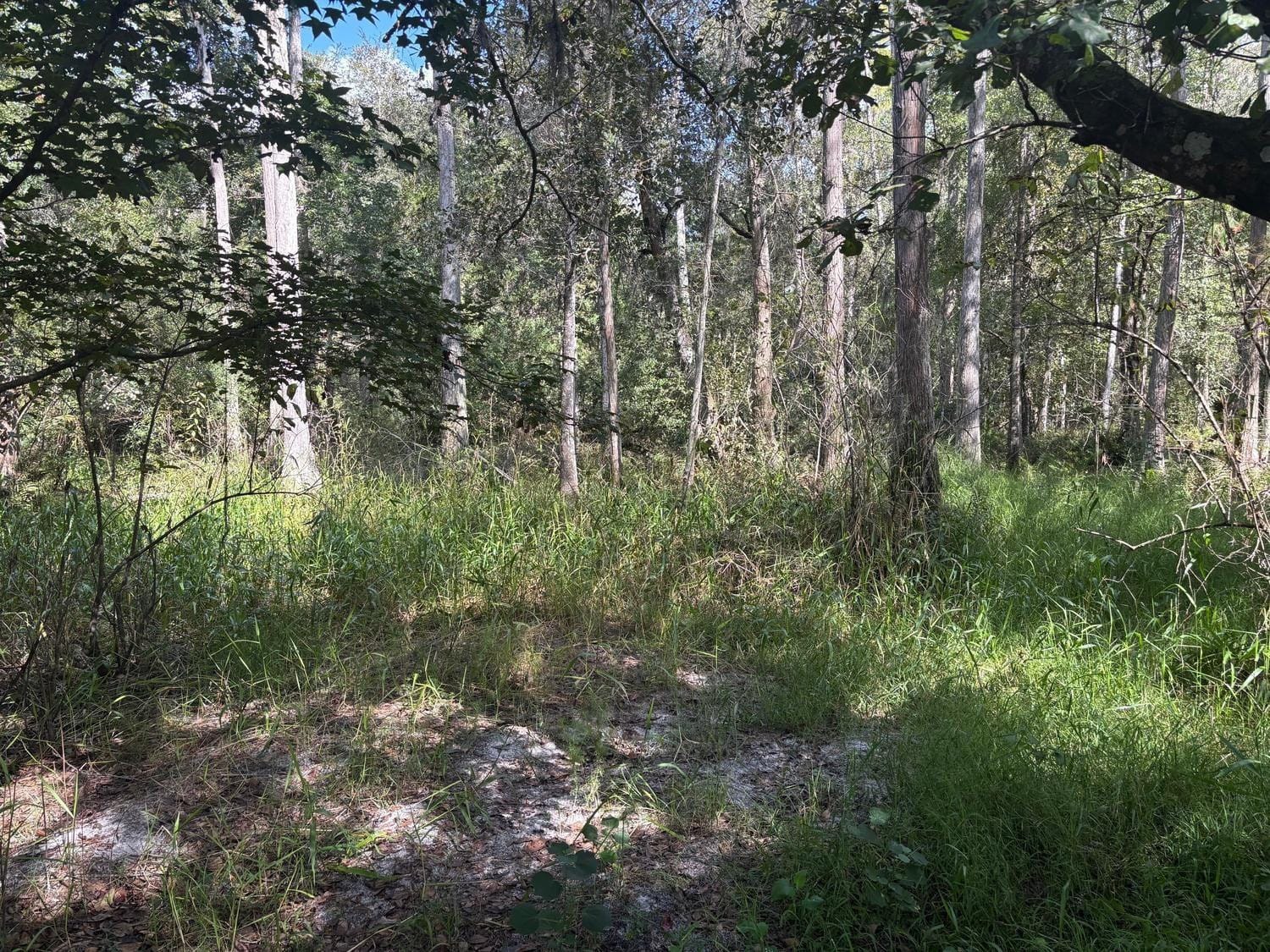0 County Rd 54 — photo 2