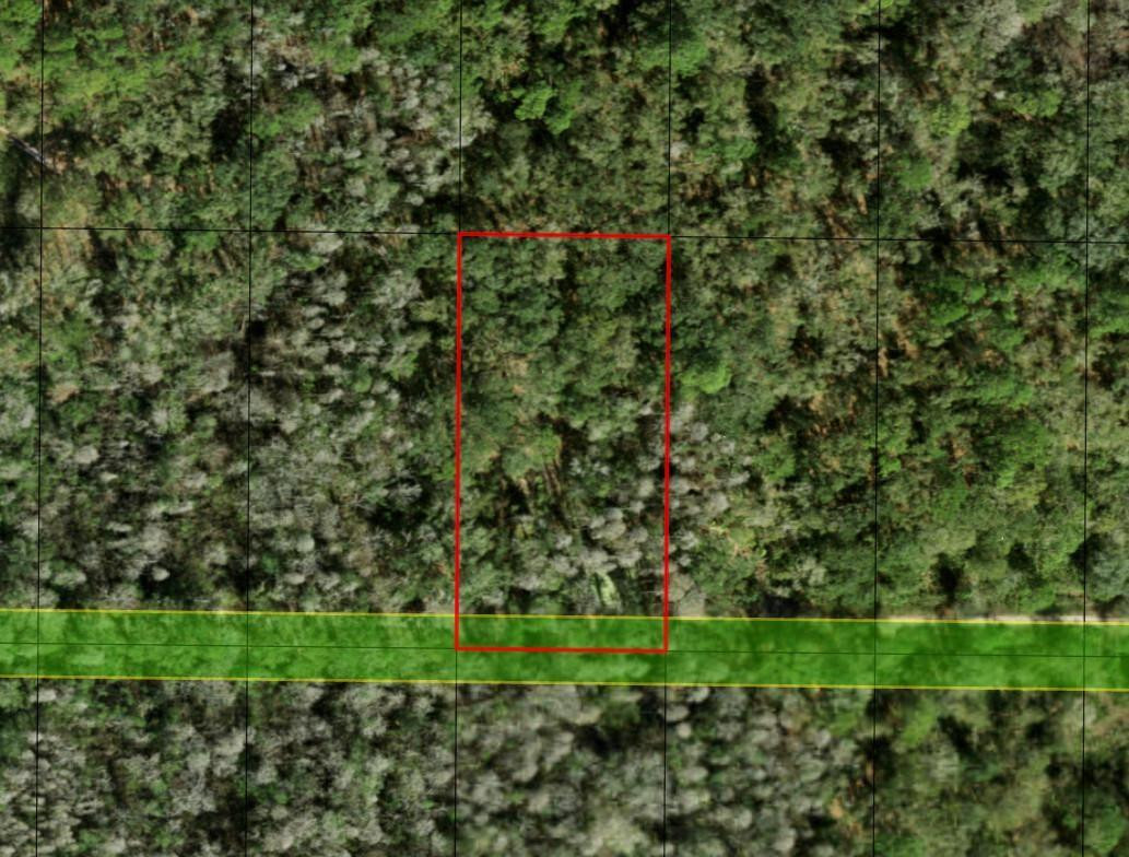 0 County Rd 54, Kathleen, FL 33849, Kathleen