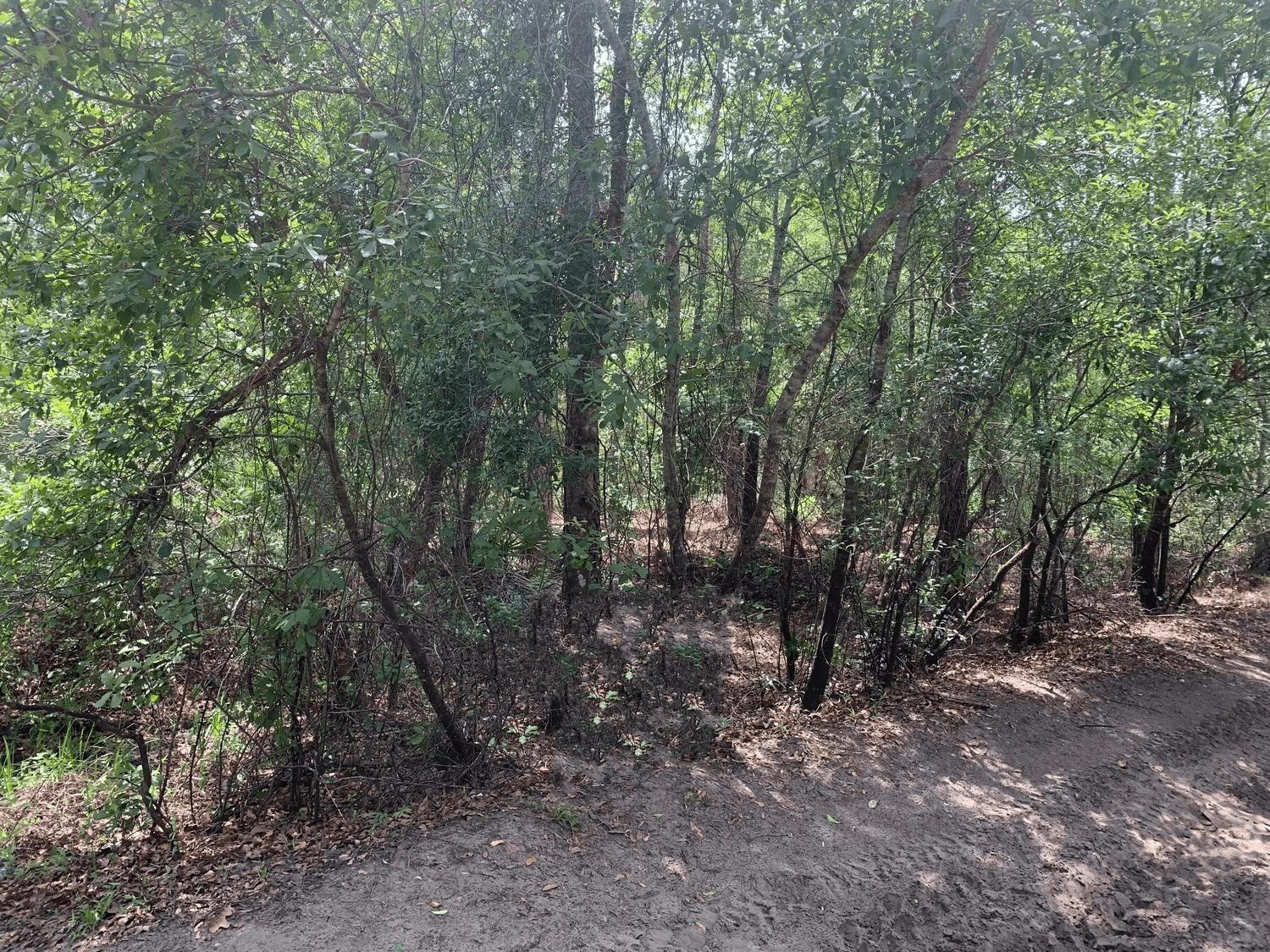 0 County Rd 54, Kathleen, FL 33849, Kathleen