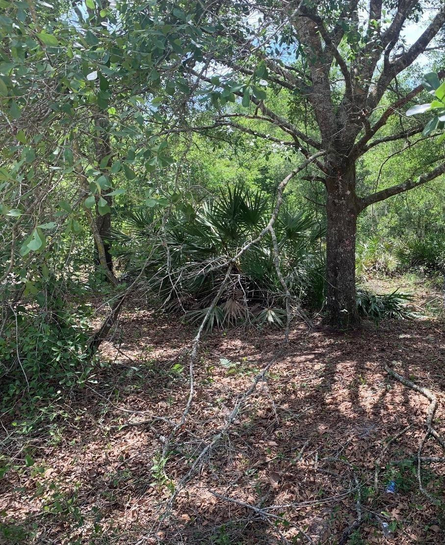 0 County Rd 54, Kathleen, FL 33849, Kathleen