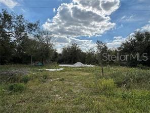 17878 NW 286th Street, Okeechobee, FL 34972 photo 2