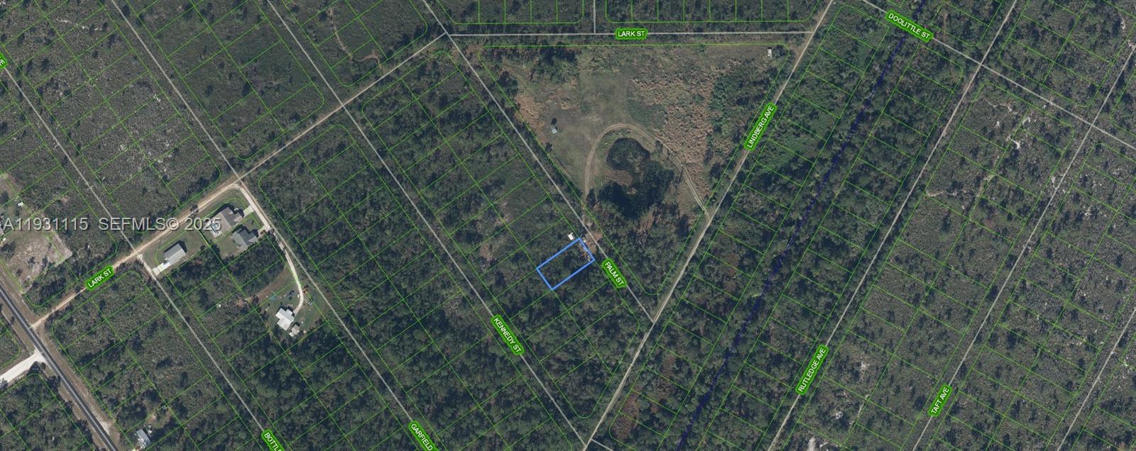 546 Palm Street, Lake Placid, FL 33852, Lake Placid