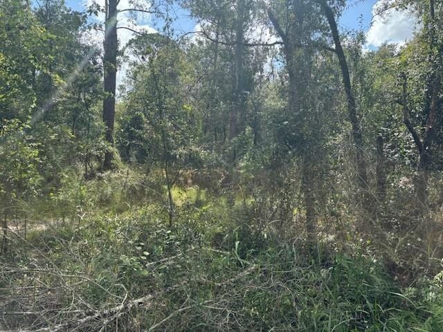 0 County Rd 54 — photo 2