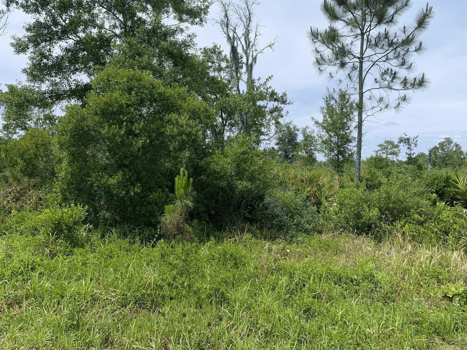 0 County Rd 54, Kathleen, FL 33849, Kathleen