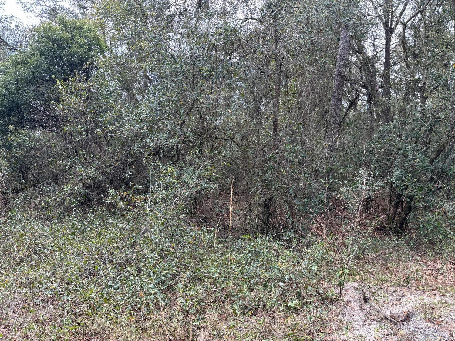 0 County Rd 54, Kathleen, FL 33849, Kathleen