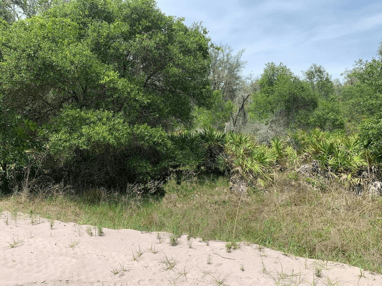 0 County Rd 54, Kathleen, FL 33849, Kathleen