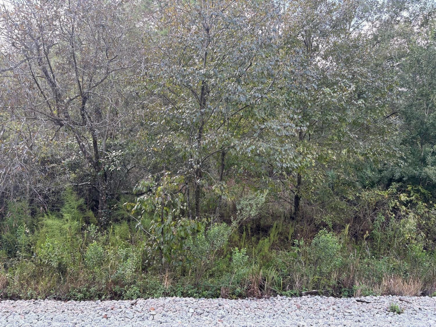 0 County Rd 54 — photo 2