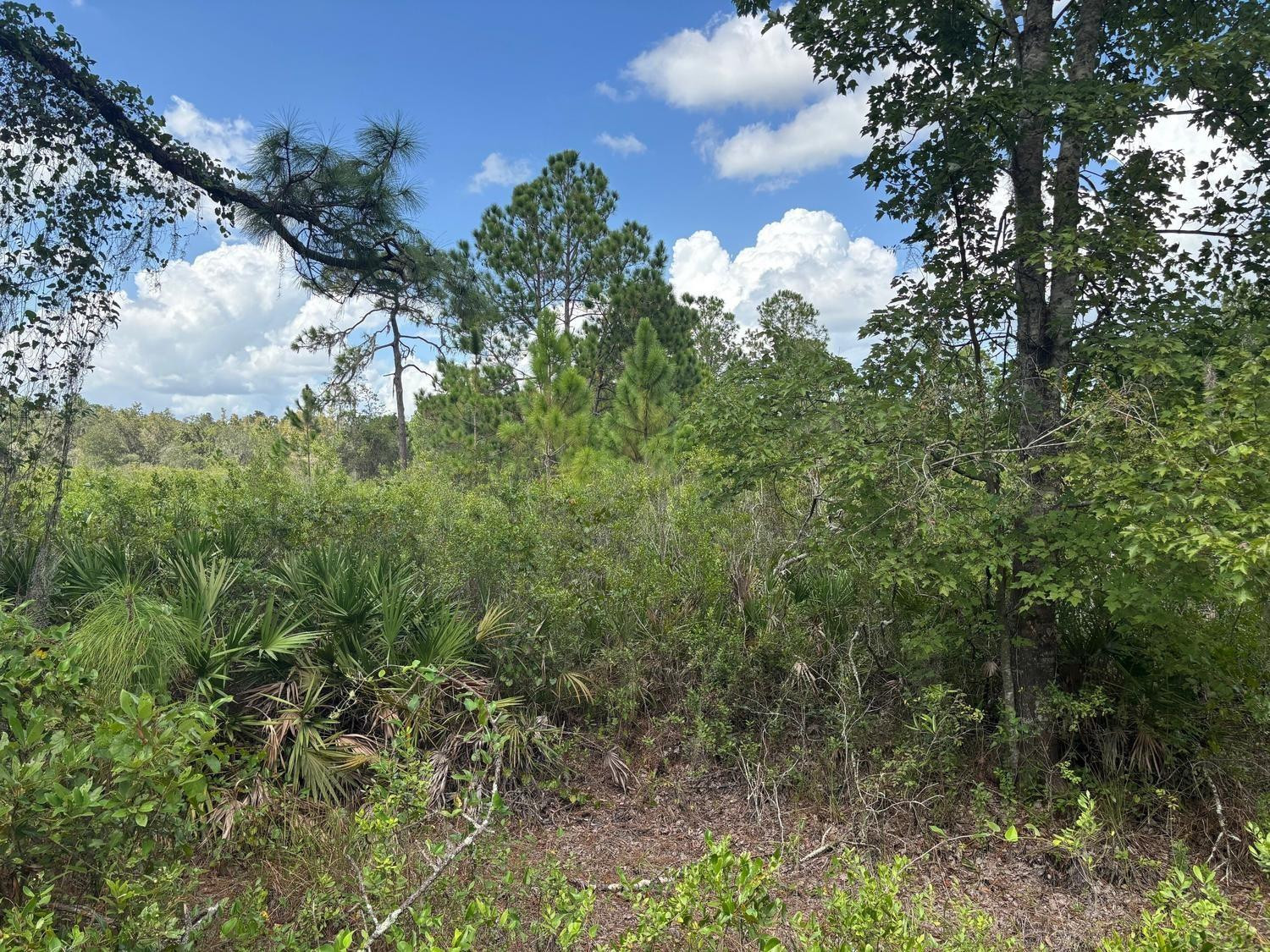 0 County Rd 54, Kathleen, FL 33849, Kathleen
