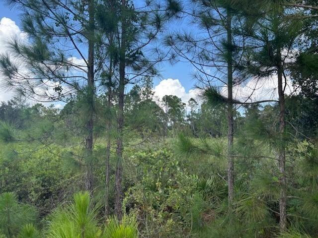 0 County Rd 54, Kathleen, FL 33849, Kathleen