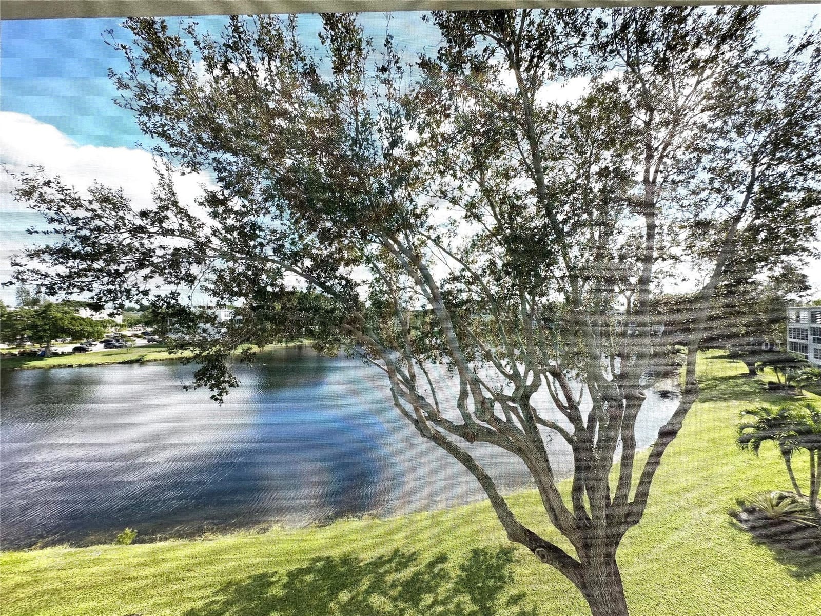 3116 Cambridge 3116, Deerfield Beach, FL 33442