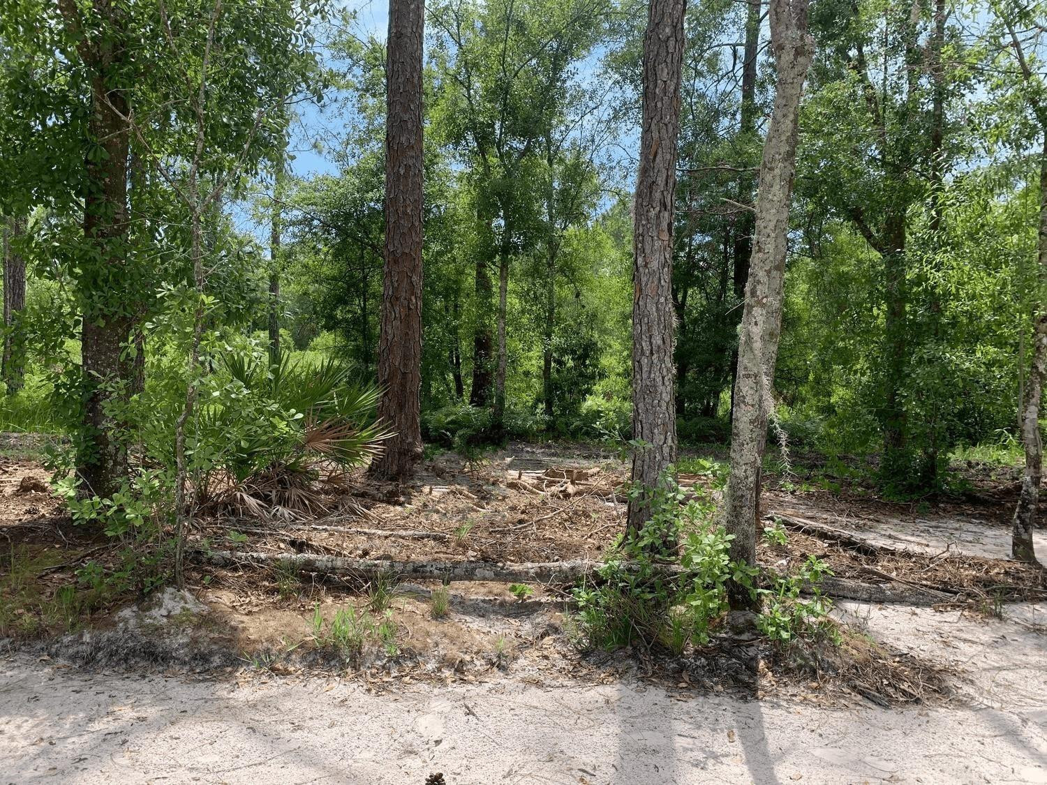 0 County Rd 54, Kathleen, FL 33849, Kathleen