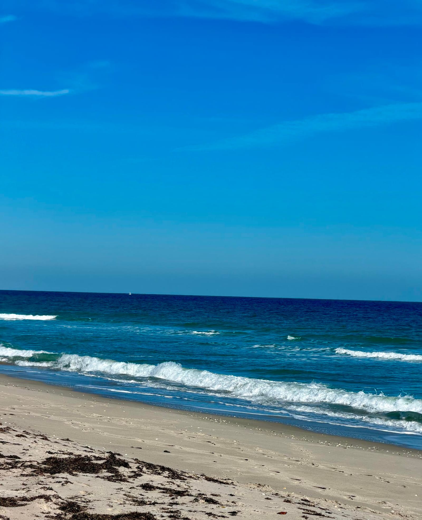 4235 N Highway A1a 14 — photo 3
