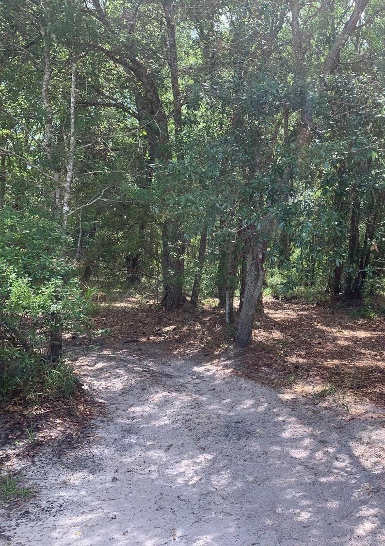 0 County Rd 54, Kathleen, FL 33849, Kathleen