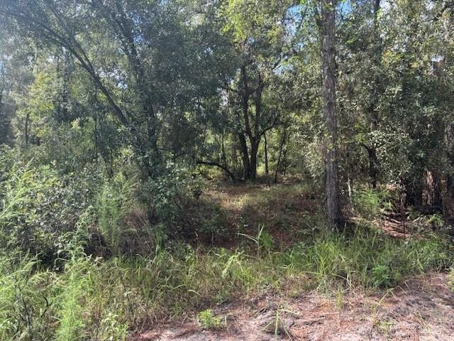 0 County Rd 54 — photo 2
