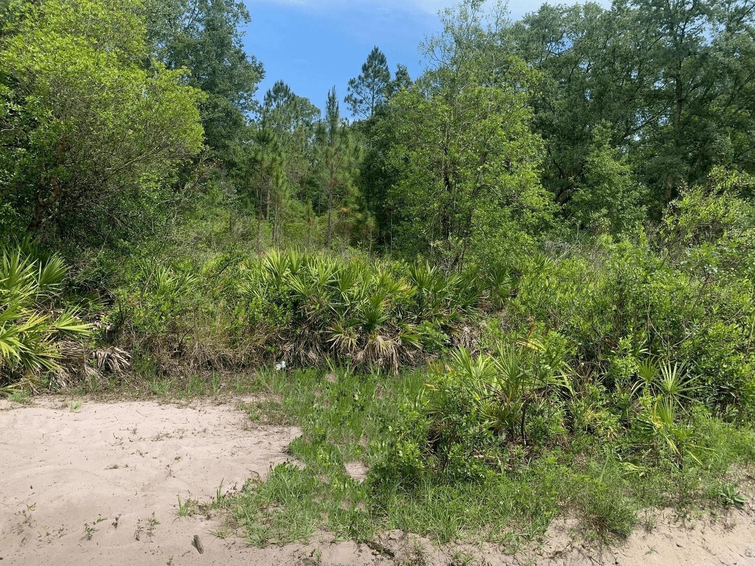 0 County Rd 54, Kathleen, FL 33849, Kathleen
