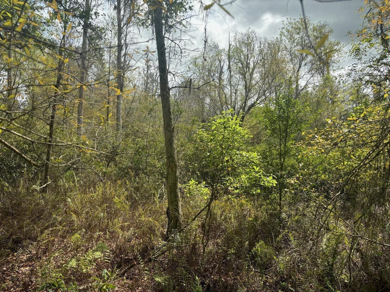 0 County Rd 54 — photo 2