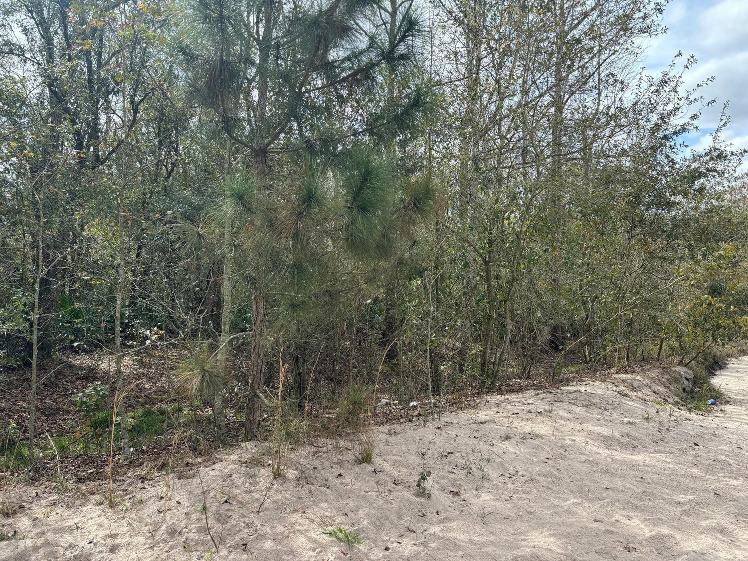 0 County Rd 54 — photo 2
