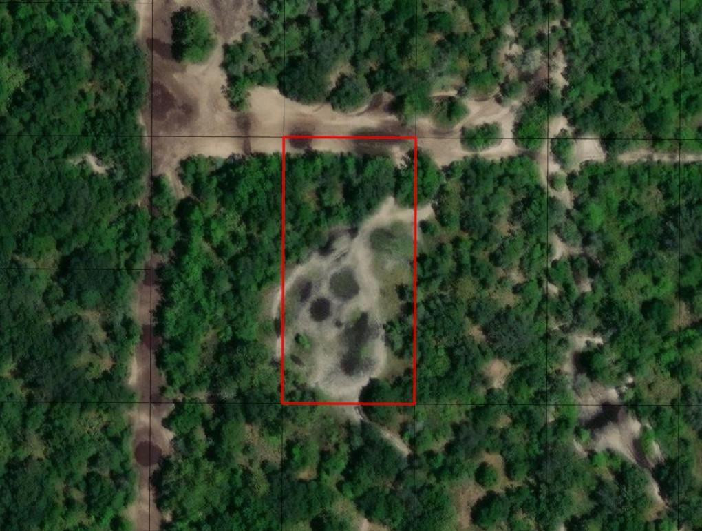 0 County Rd 54, Kathleen, FL 33849, Kathleen