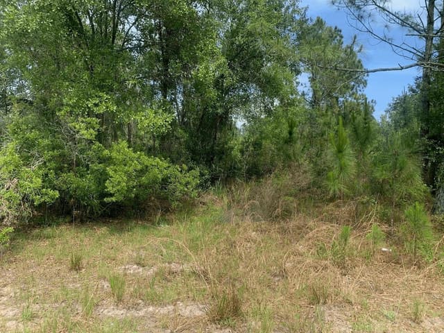0 County Rd 54, Kathleen, FL 33849
