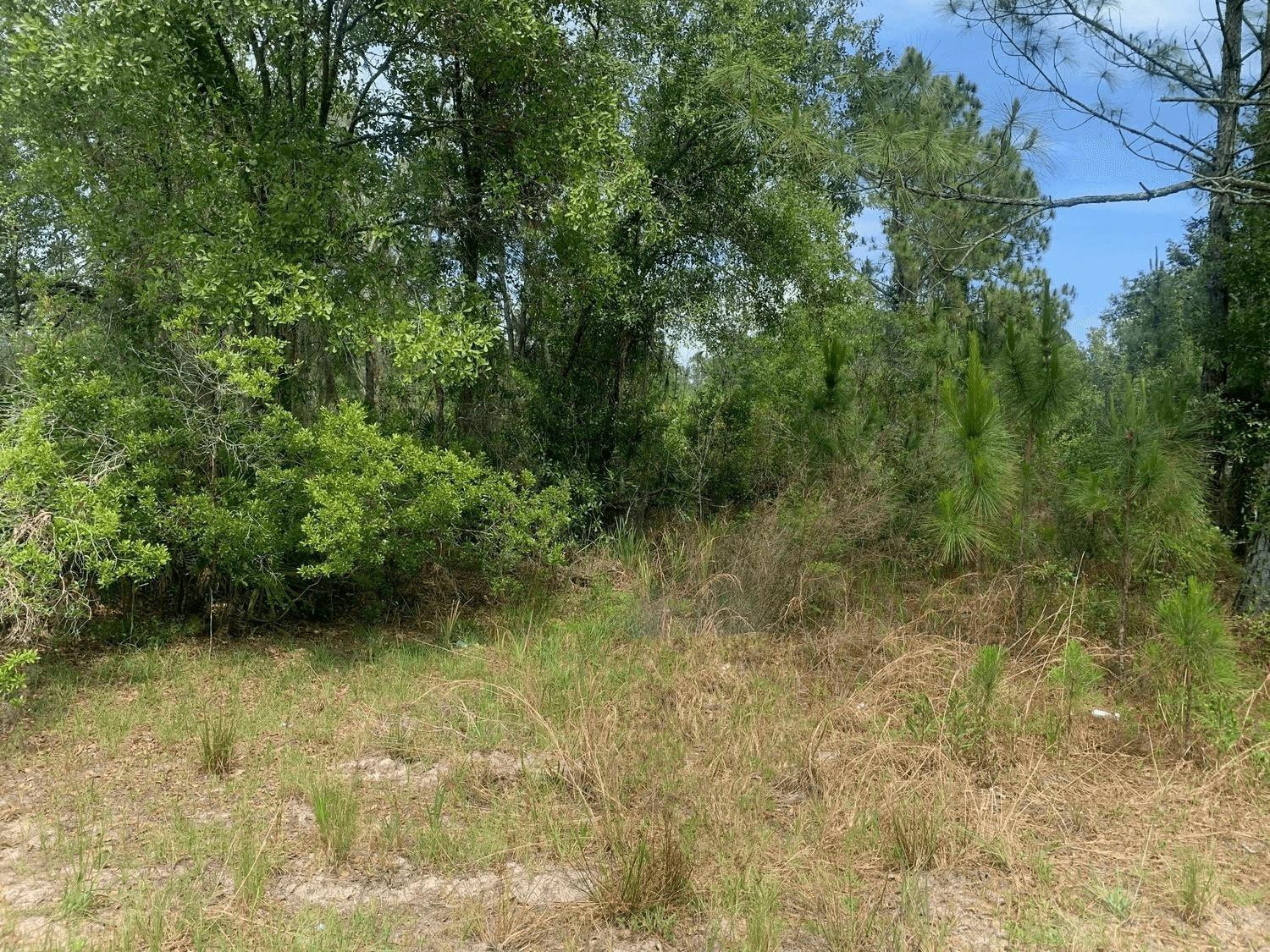 0 County Rd 54, Kathleen, FL 33849, Kathleen