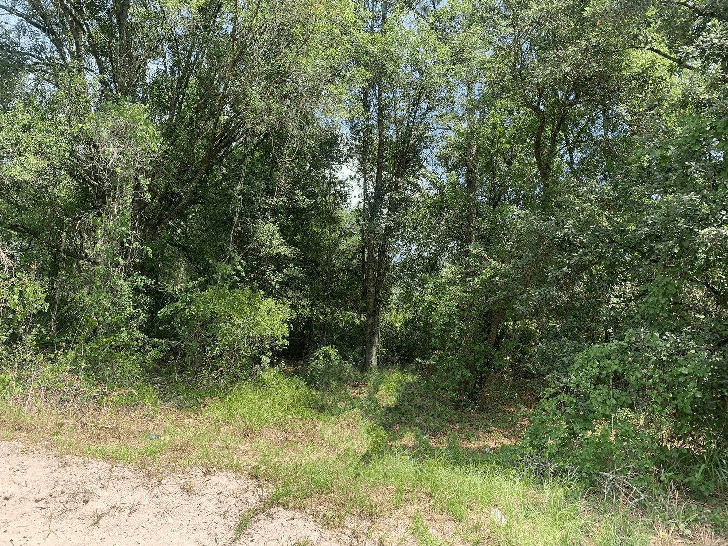 0 County Rd 54, Kathleen, FL 33849, Kathleen