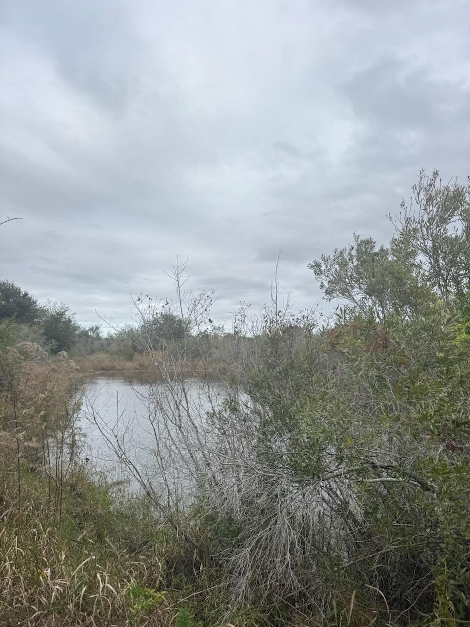 20745 NW 302nd Street, Okeechobee, FL 34972 photo 4