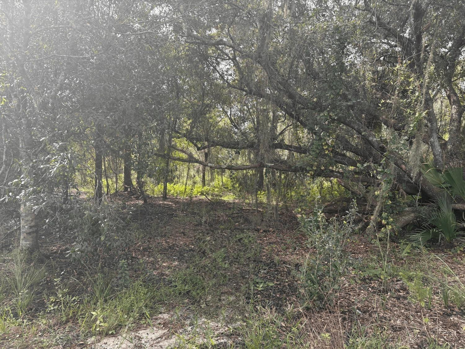 0 NW 304th Street, Okeechobee, FL 34972, Okeechobee