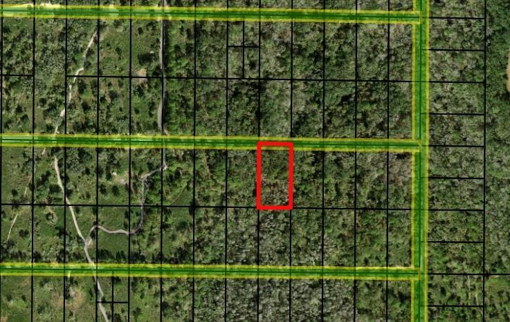 0 County Rd 54, Kathleen, FL 33849, Kathleen