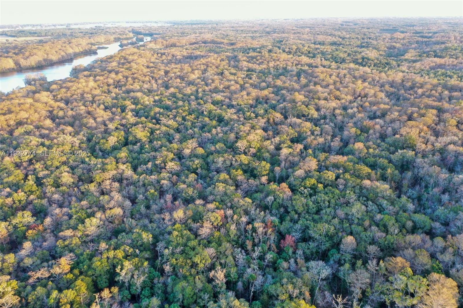 13254 E Shawnee Trail, Inverness, FL 34450 photo 13