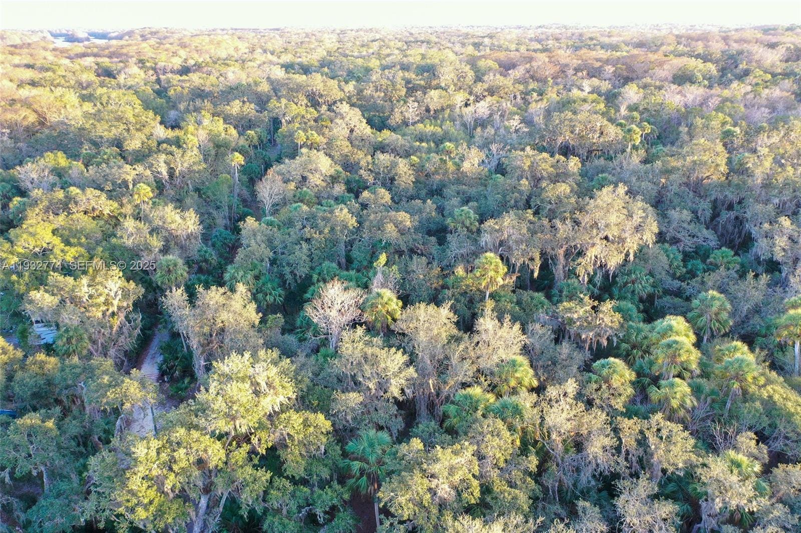 13254 E Shawnee Trail, Inverness, FL 34450 photo 22