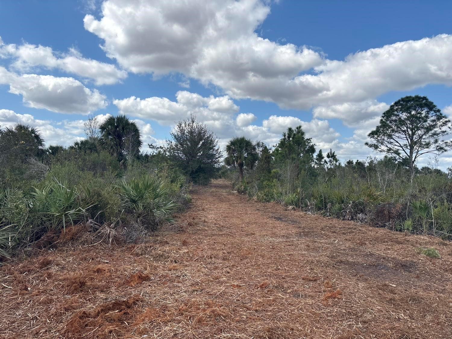 0 NW 302nd Street, Okeechobee, FL 34972, Okeechobee