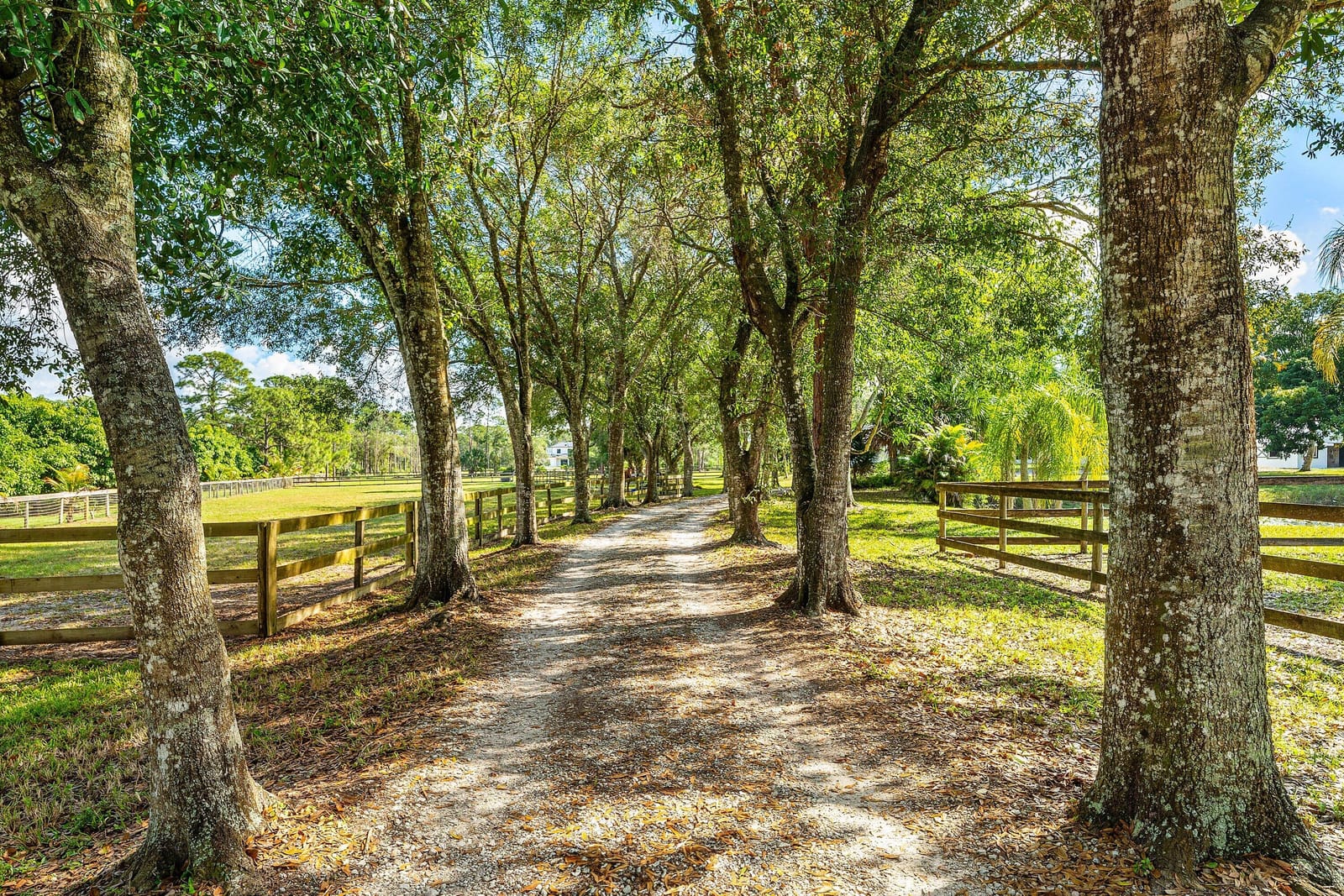 6296 188th Trail N, Loxahatchee, FL 33470 photo 5