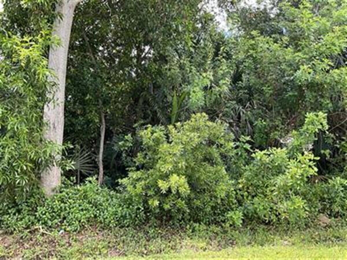 1858 SE North Buttonwood Drive, Port St. Lucie, FL 34952, Port St Lucie