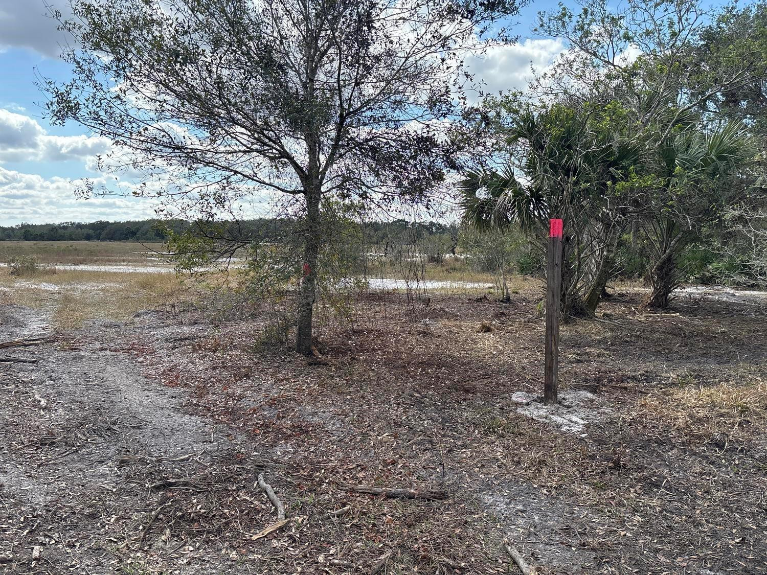 0 298th Street, Okeechobee, FL 34972, Okeechobee