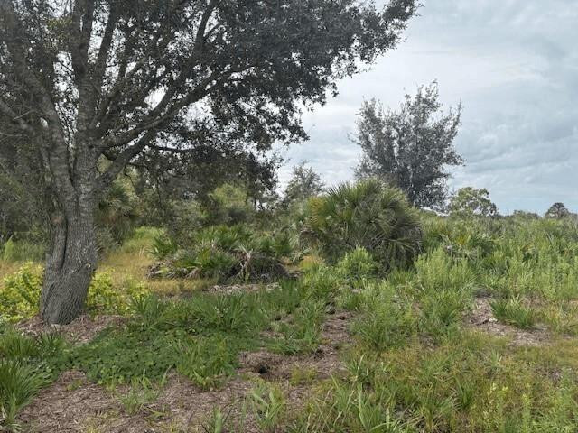 0 302nd Street, Okeechobee, FL 34972, Okeechobee