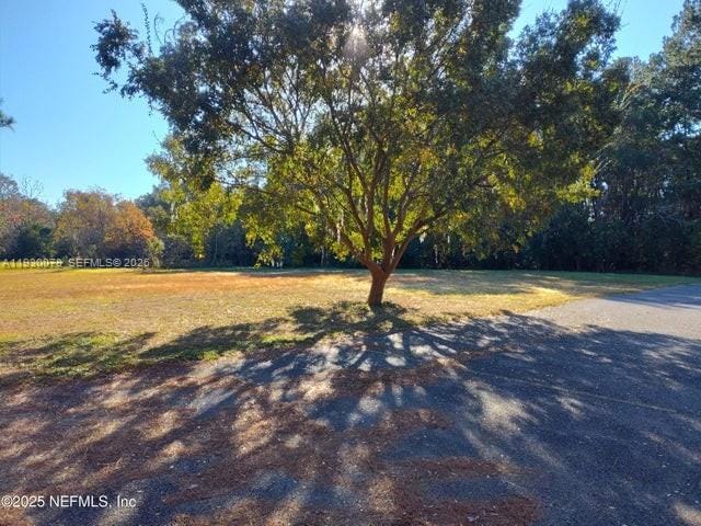4100 Beverly Avenue, Jacksonville, FL 32208 photo 22