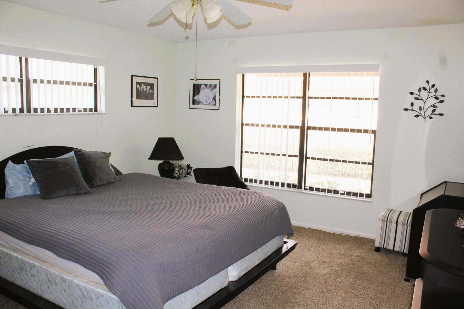 9825 Bischofia Tree Way B — photo 7