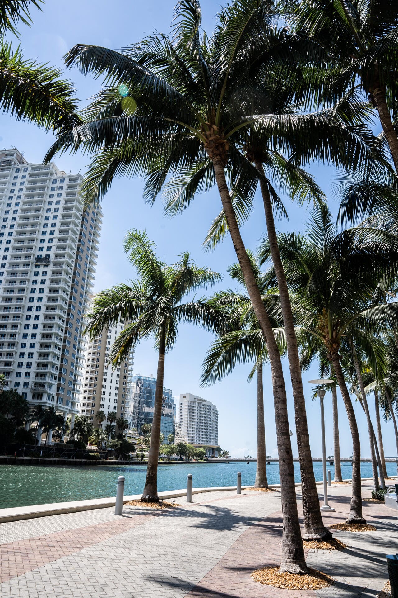 495 Brickell Avenue 911, Miami, FL 33131 photo 21