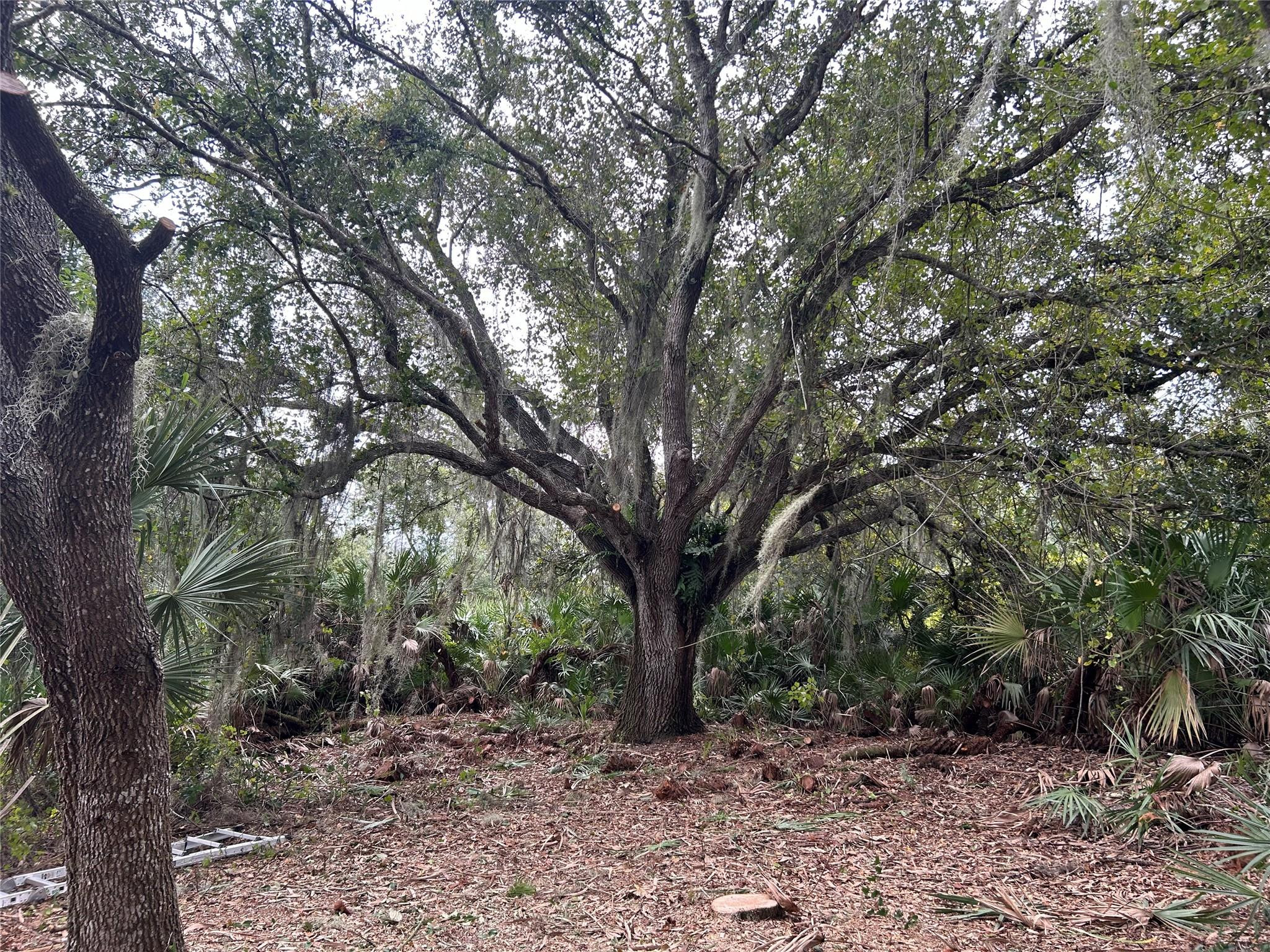 0 298th Street, Okeechobee, FL 34972, Okeechobee