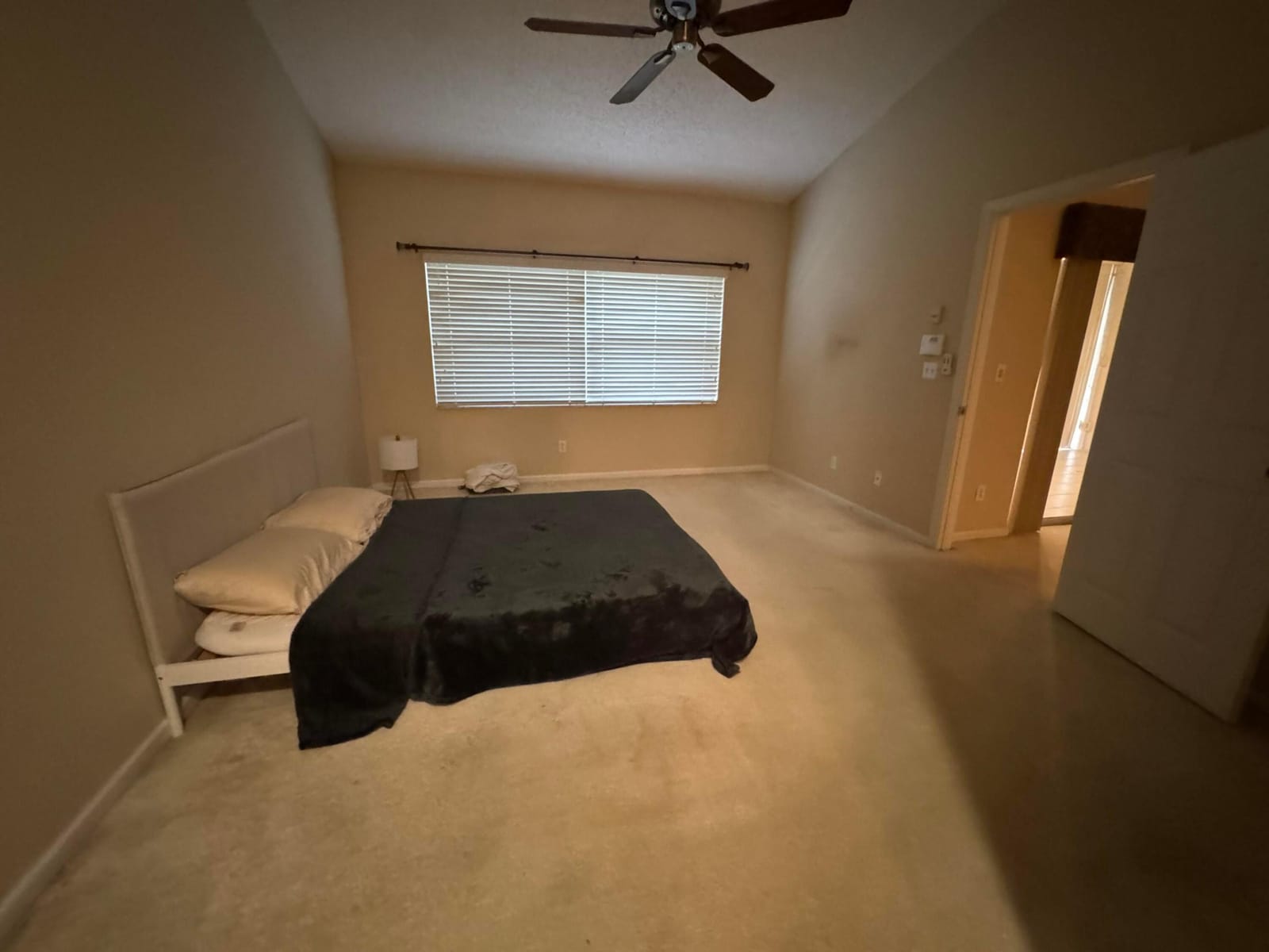 1665 Wood Fern Drive — photo 11