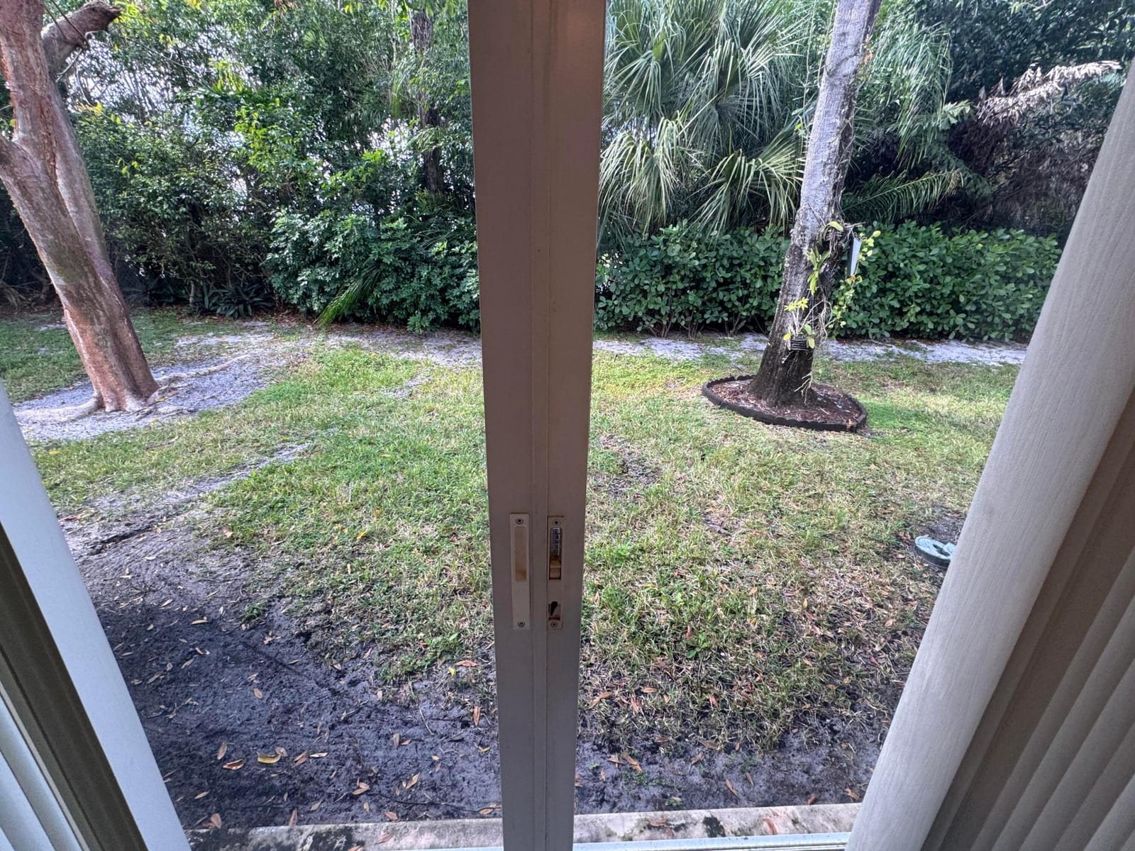 1665 Wood Fern Drive — photo 3