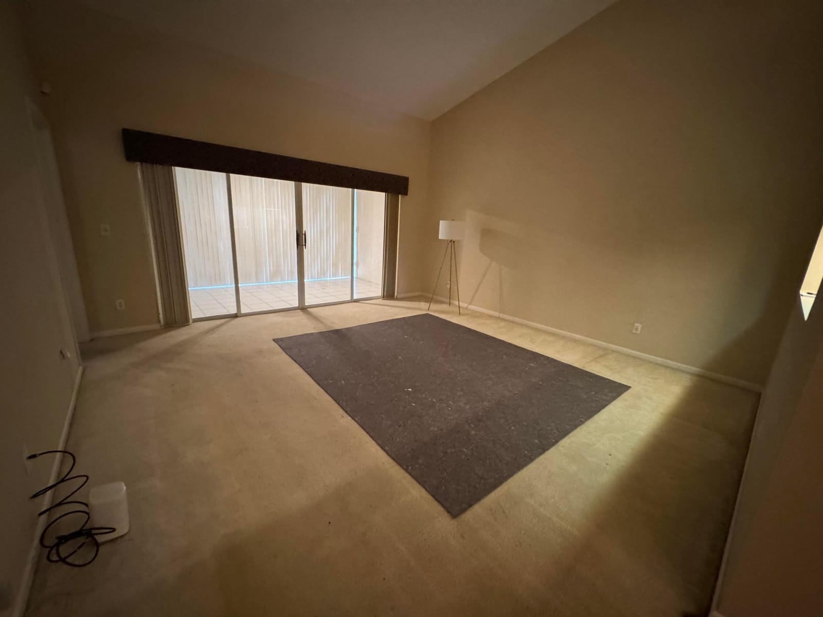 1665 Wood Fern Drive — photo 10