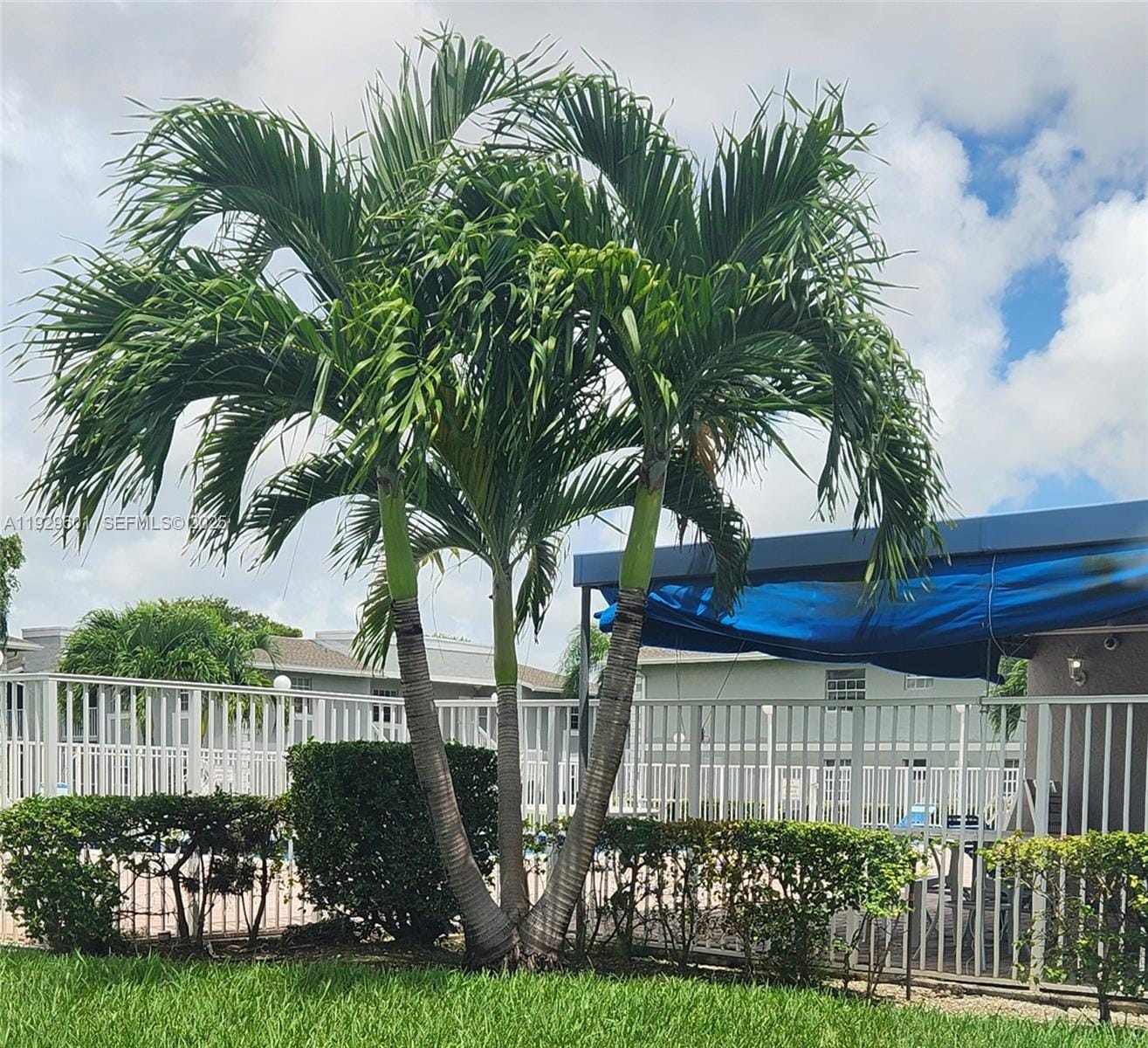 466 NE 210th Cir Terrace 201-10, Miami, FL 33179 photo 28