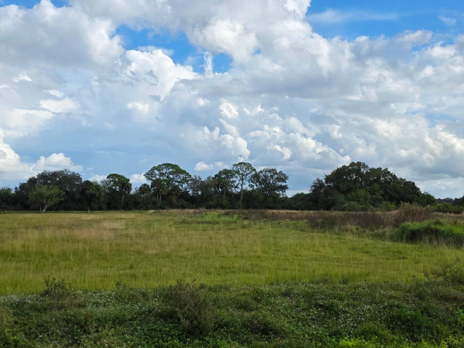 1132 NE 48th Avenue, Okeechobee, FL 34972 photo 11