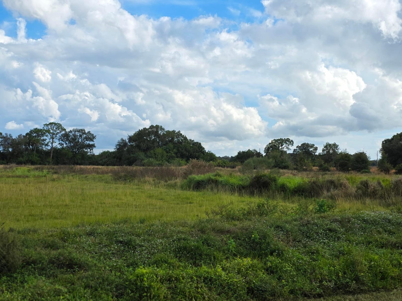 1132 NE 48th Avenue, Okeechobee, FL 34972 photo 12