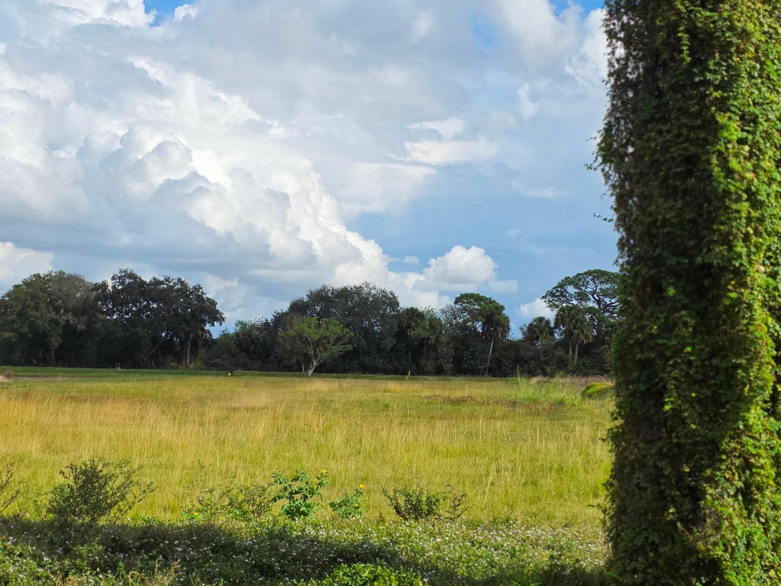 1132 NE 48th Avenue, Okeechobee, FL 34972 photo 6