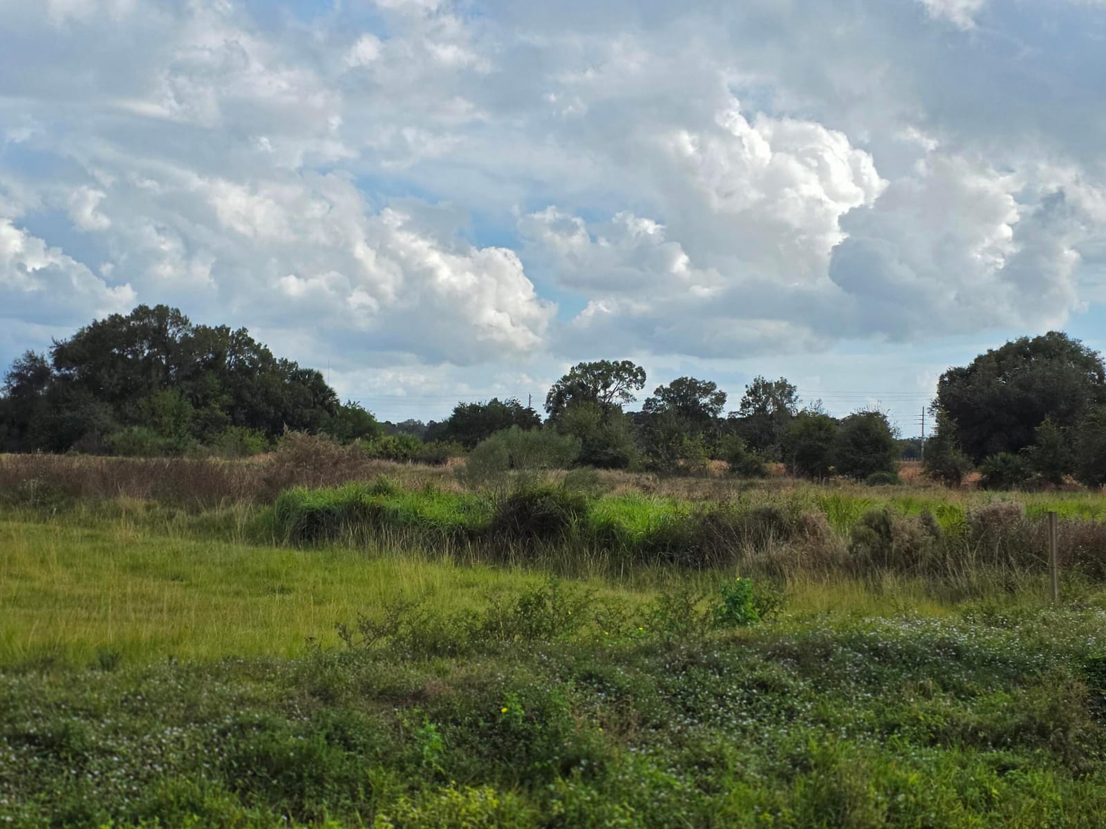 1132 NE 48th Avenue, Okeechobee, FL 34972 photo 9