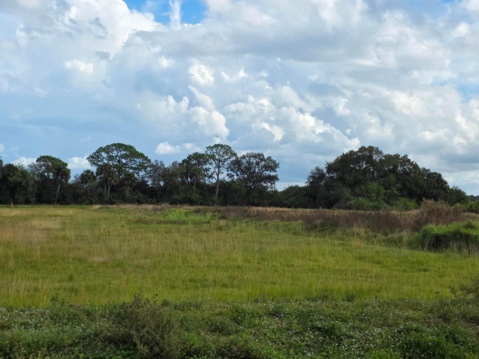 1132 NE 48th Avenue, Okeechobee, FL 34972 photo 10