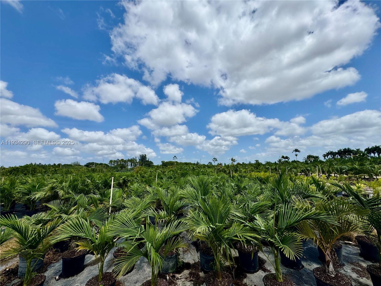 32800 SW 202nd Avenue, Homestead, FL 33034 photo 18